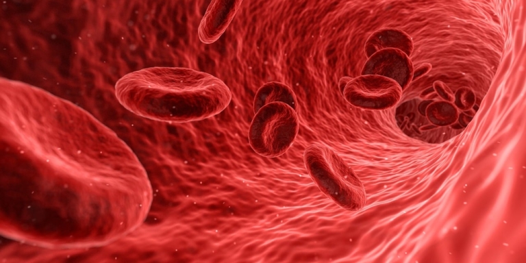 Read more about the article Anemia, w tym niedoborowa – czym jest i jak się ją leczy?